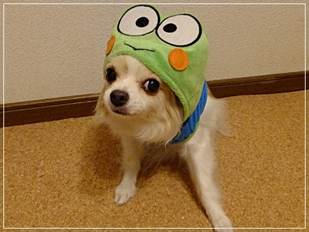 ミミカエル