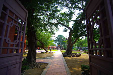 IMGP5853