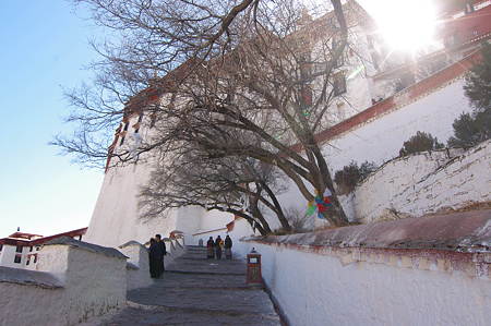 IMGP0760