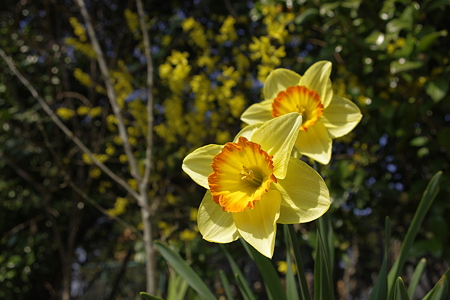 春の日を浴びて