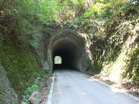 R371旧道1(隧道)