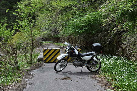 R306佐目トンネル旧道・1