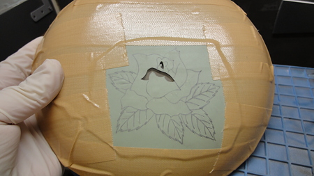 今日の作品 薔薇の大輪 1