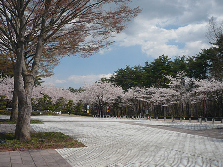 fuku06