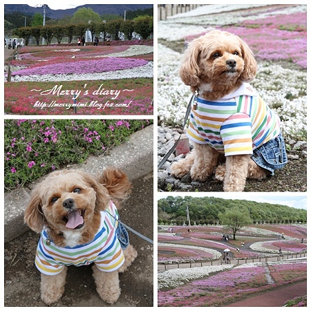 みさと公園2