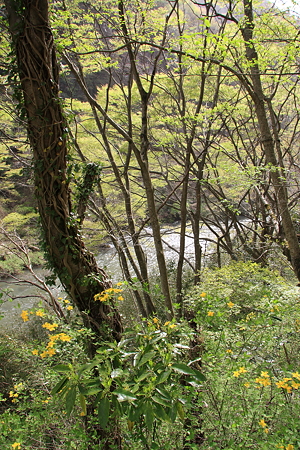 20110502_10